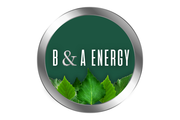 Ilves-Verkosto - Mborg Solutions Oy